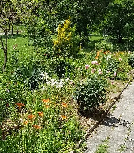 Florata Μπουργκάς